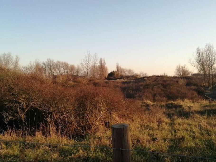 Lovely N° 9 Op Ieder Moment Een Prachtig Zeezicht & Zwembad Middelkerke Eksteriør billede