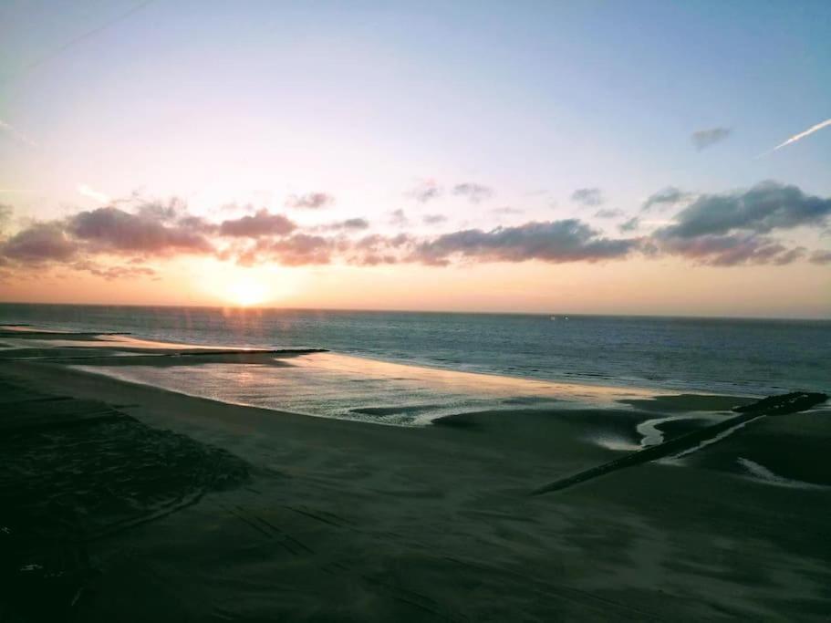 Lovely N° 9 Op Ieder Moment Een Prachtig Zeezicht & Zwembad Middelkerke Eksteriør billede